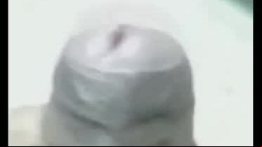 Indian big fat Cock